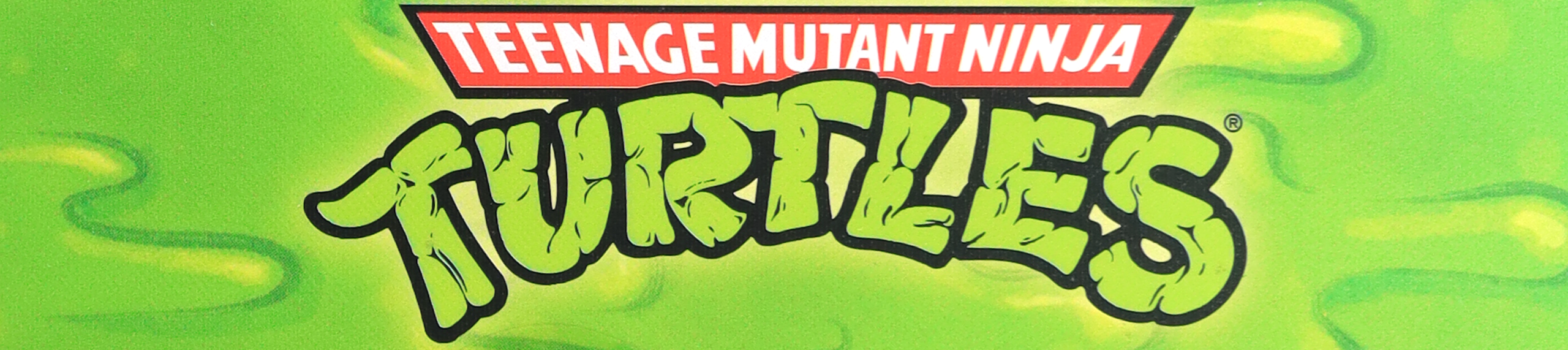 TMNT Logo